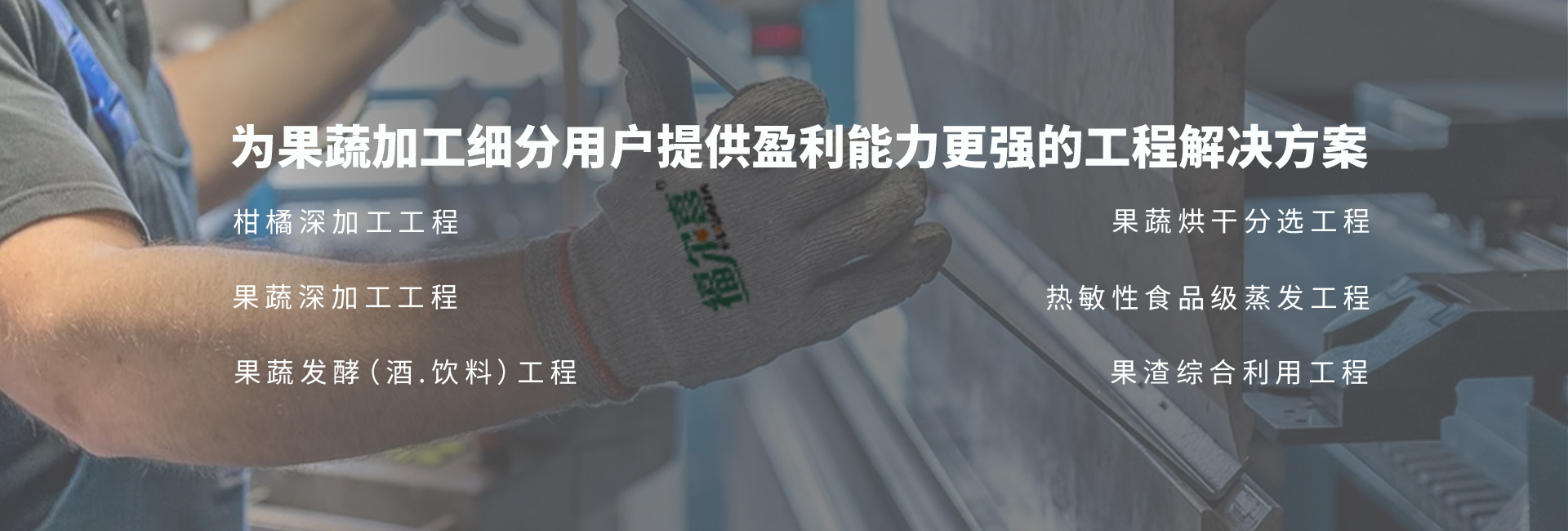揚州VSport果蔬汁機械有限公司