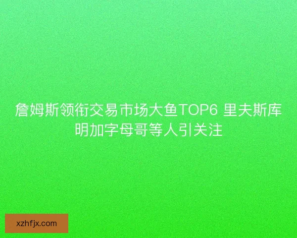 詹姆斯领衔交易市场大鱼TOP6 里夫斯库明加字母哥等人引关注